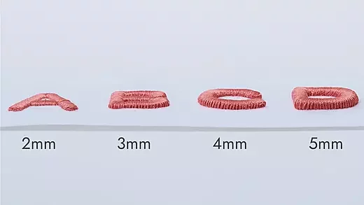 3D Puff Embroidery WITHOUT the advanced Tech