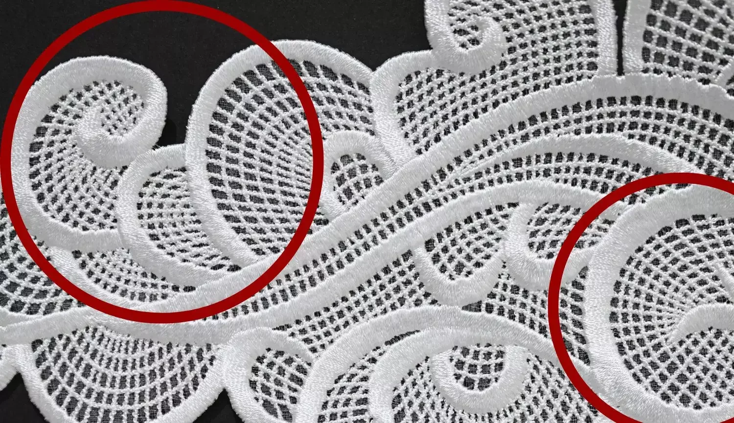 Fine embroidery with Tajimas AI and DCP